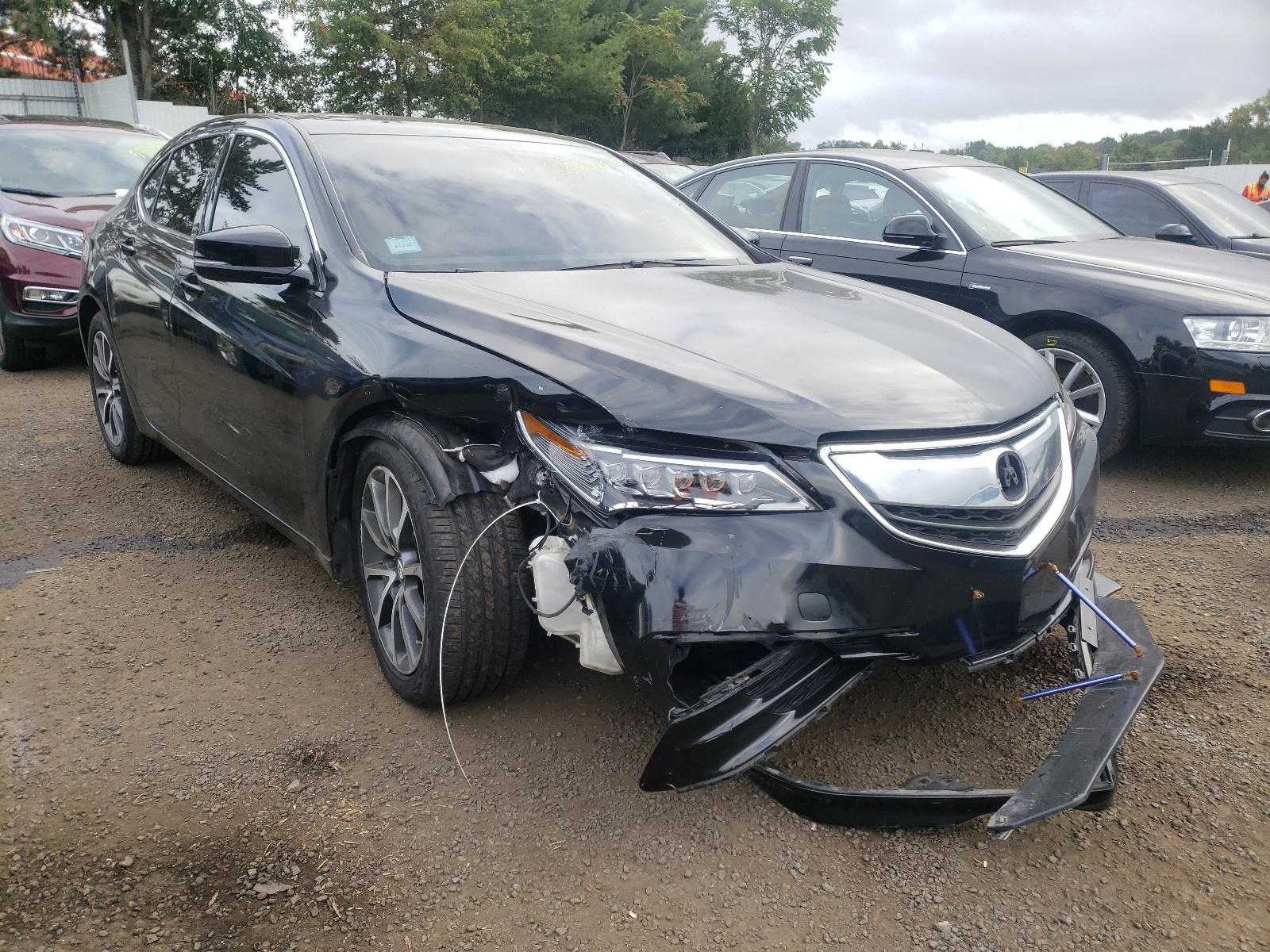 ACURA TLX 2015 with VIN 19UUB2F30FA026238 - Photo from auction