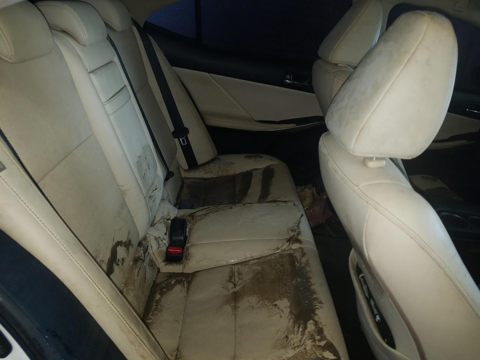 Photo 6 from auction – 2015 LEXUS IS 250 with VIN JTHBF1D28F5072437