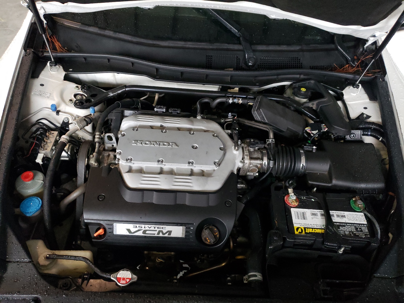 Photo 7 from auction – 2011 HONDA ACCORD EXL with VIN 5KBCP3F83BB003987