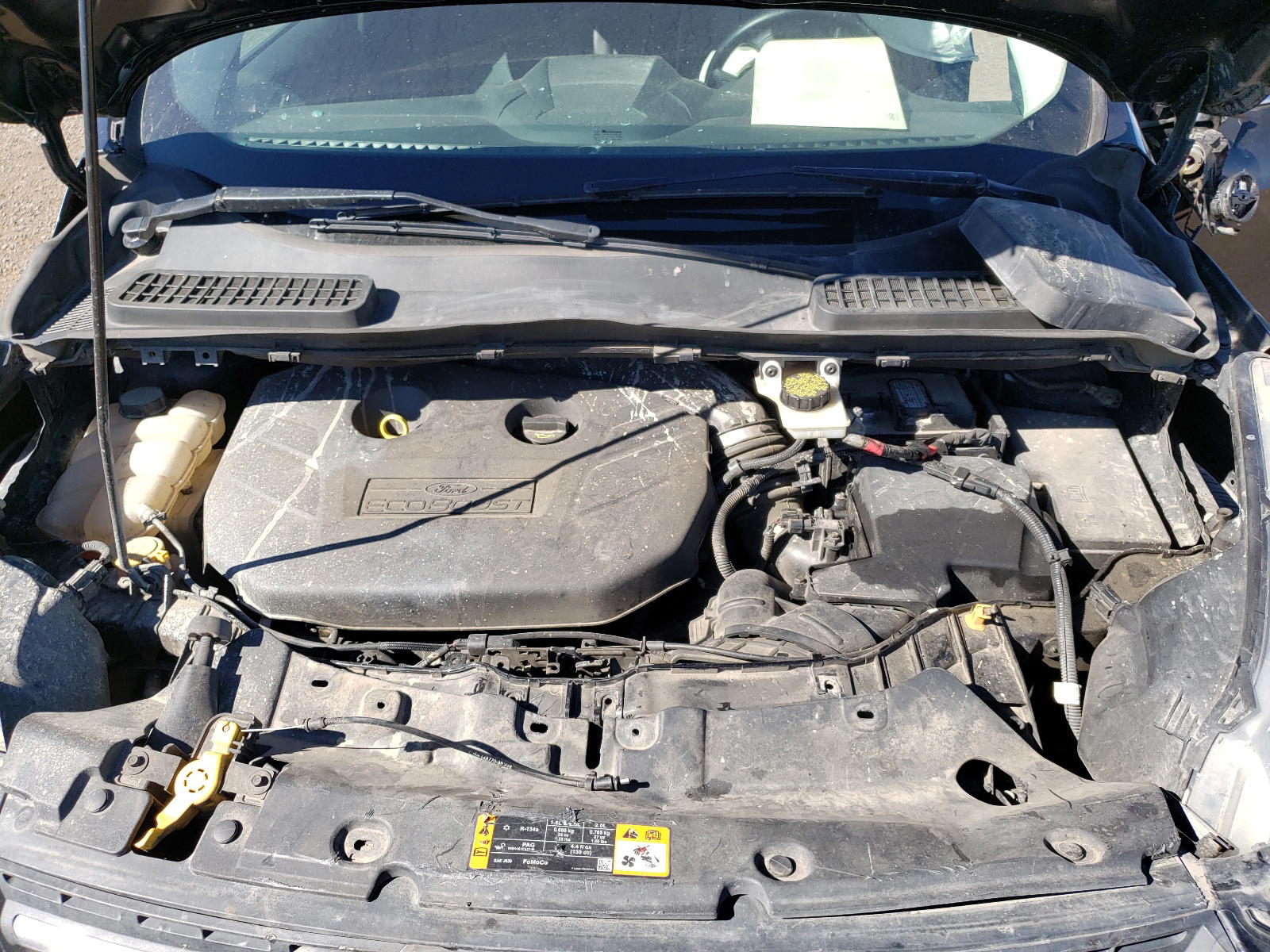 Photo 7 from auction – 2013 FORD ESCAPE SE with VIN 1FMCU9G92DUB41317