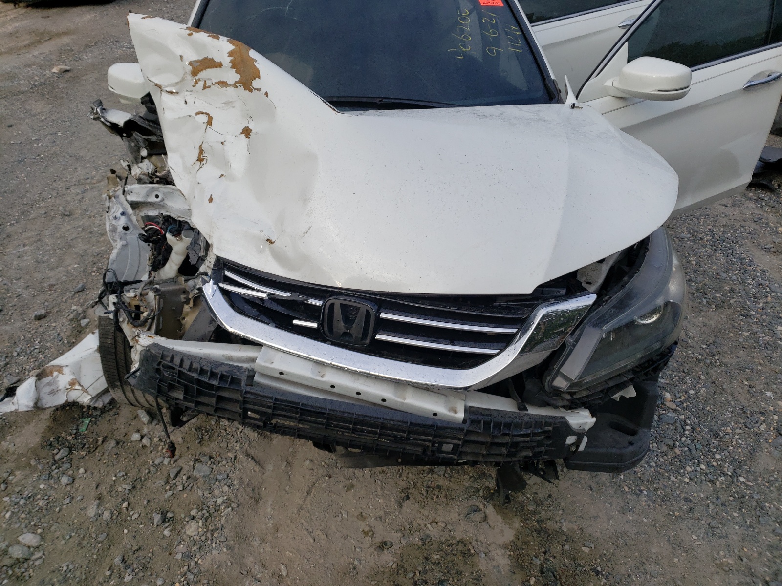 Photo 7 from auction – 2013 HONDA ACCORD EXL with VIN 1HGCR3F83DA005227