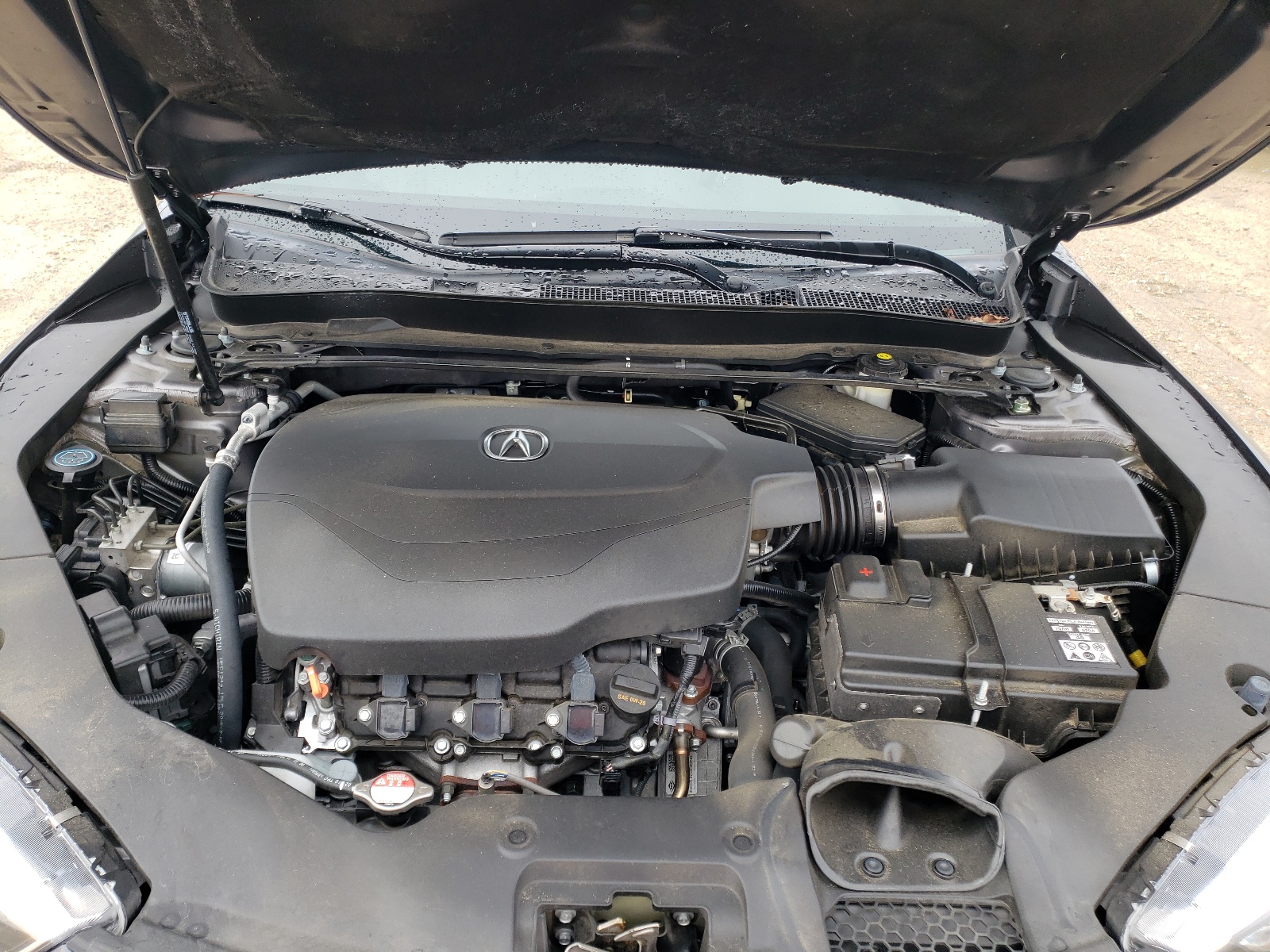 Photo 7 from auction – 2020 ACURA TLX TECHNO with VIN 19UUB2F49LA004517