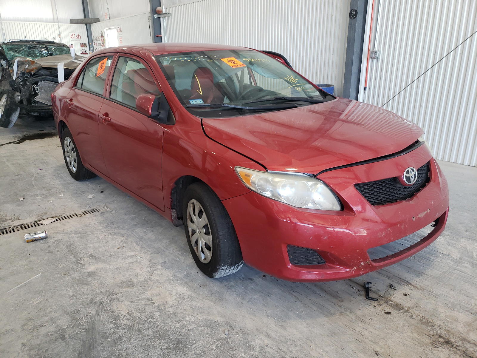 TOYOTA COROLLA 2010 with VIN 2T1BU4EE4AC338811 - Photo from auction