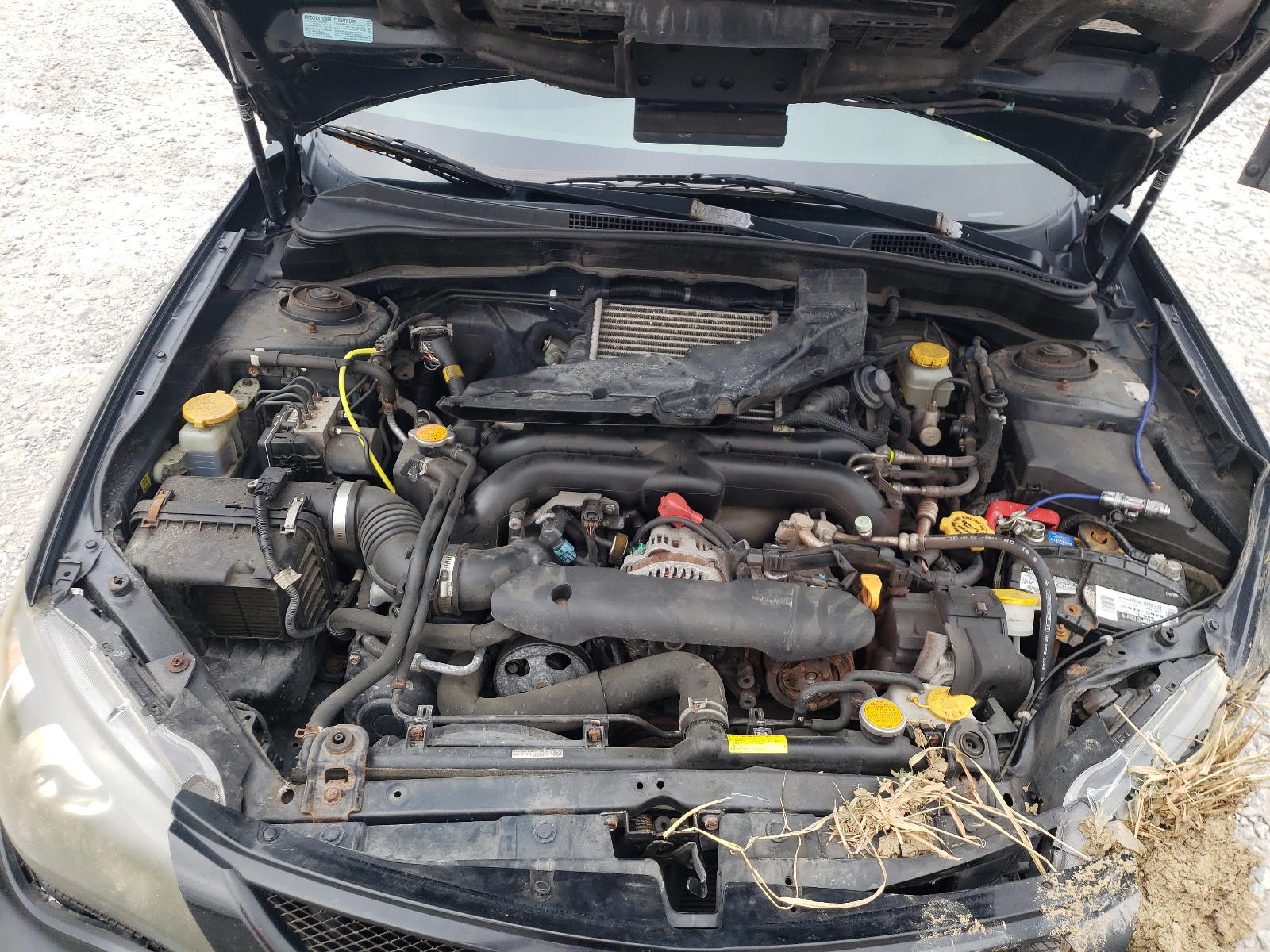 Photo 7 from auction – 2008 SUBARU IMPREZA WR with VIN JF1GH75668G803885