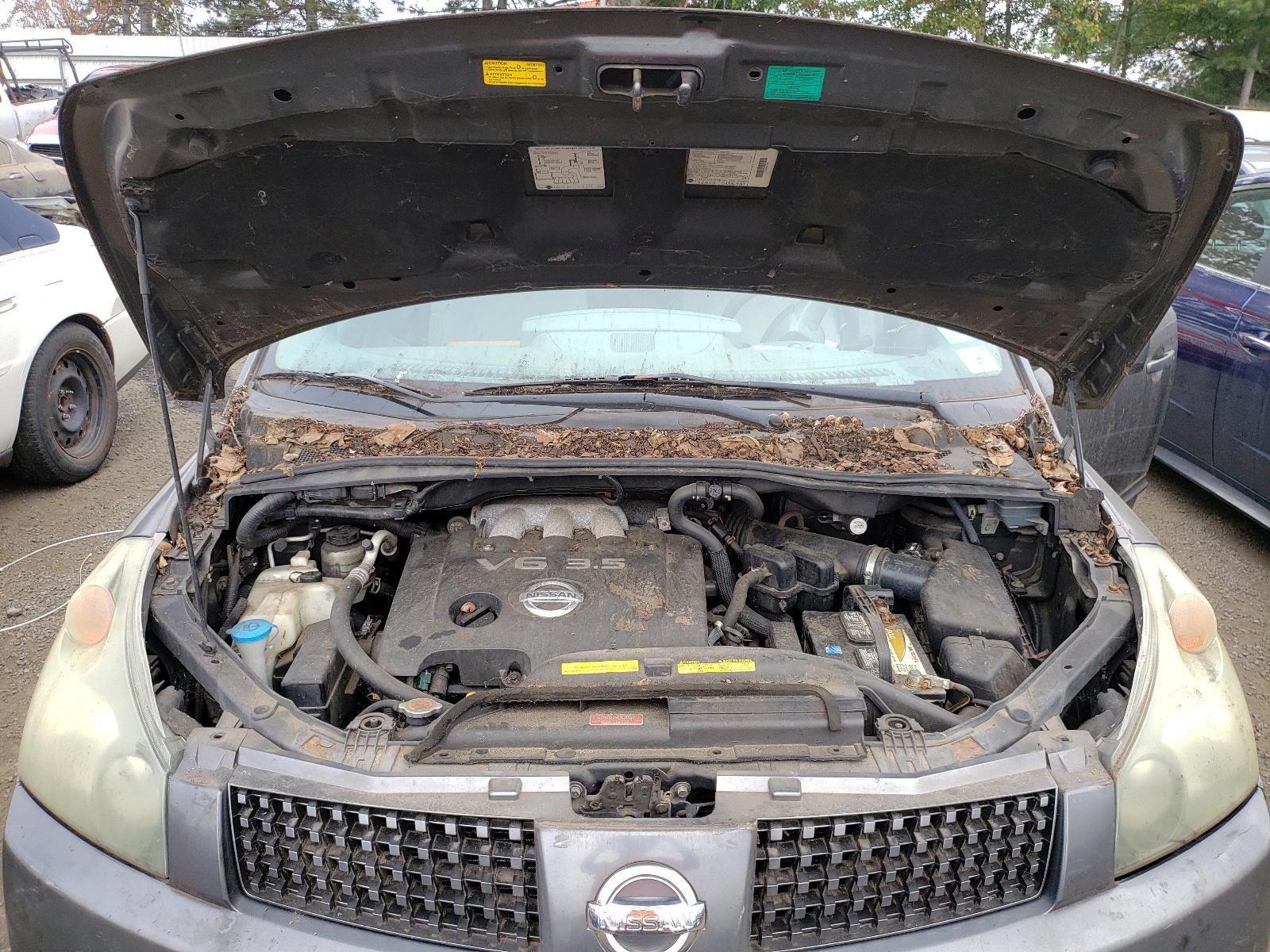 Photo 7 from auction – 2004 NISSAN QUEST with VIN 5N1BV28UX4N367294