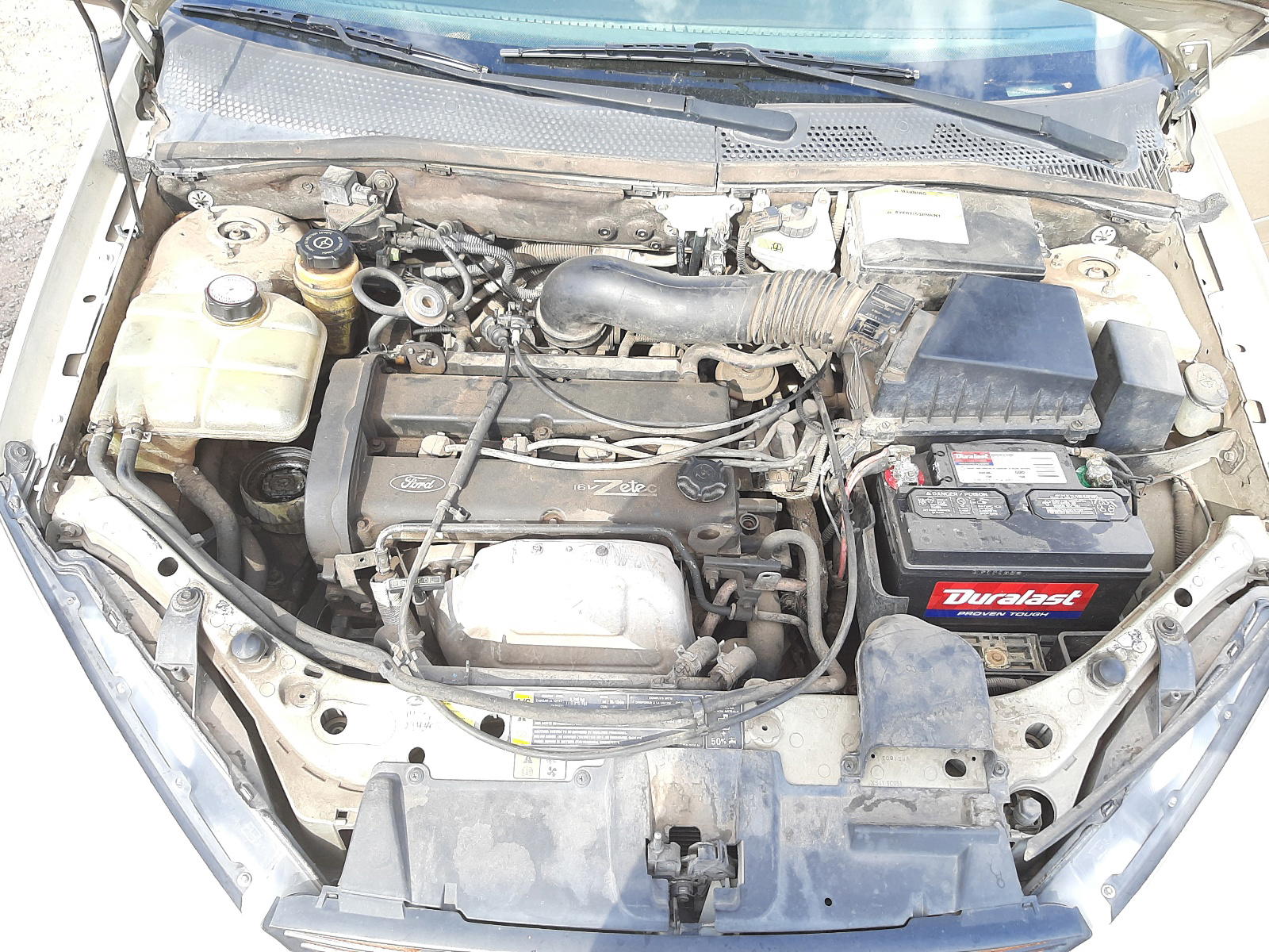 Photo 7 from auction – 2000 FORD FOCUS SE with VIN 1FAFP3431YW401275