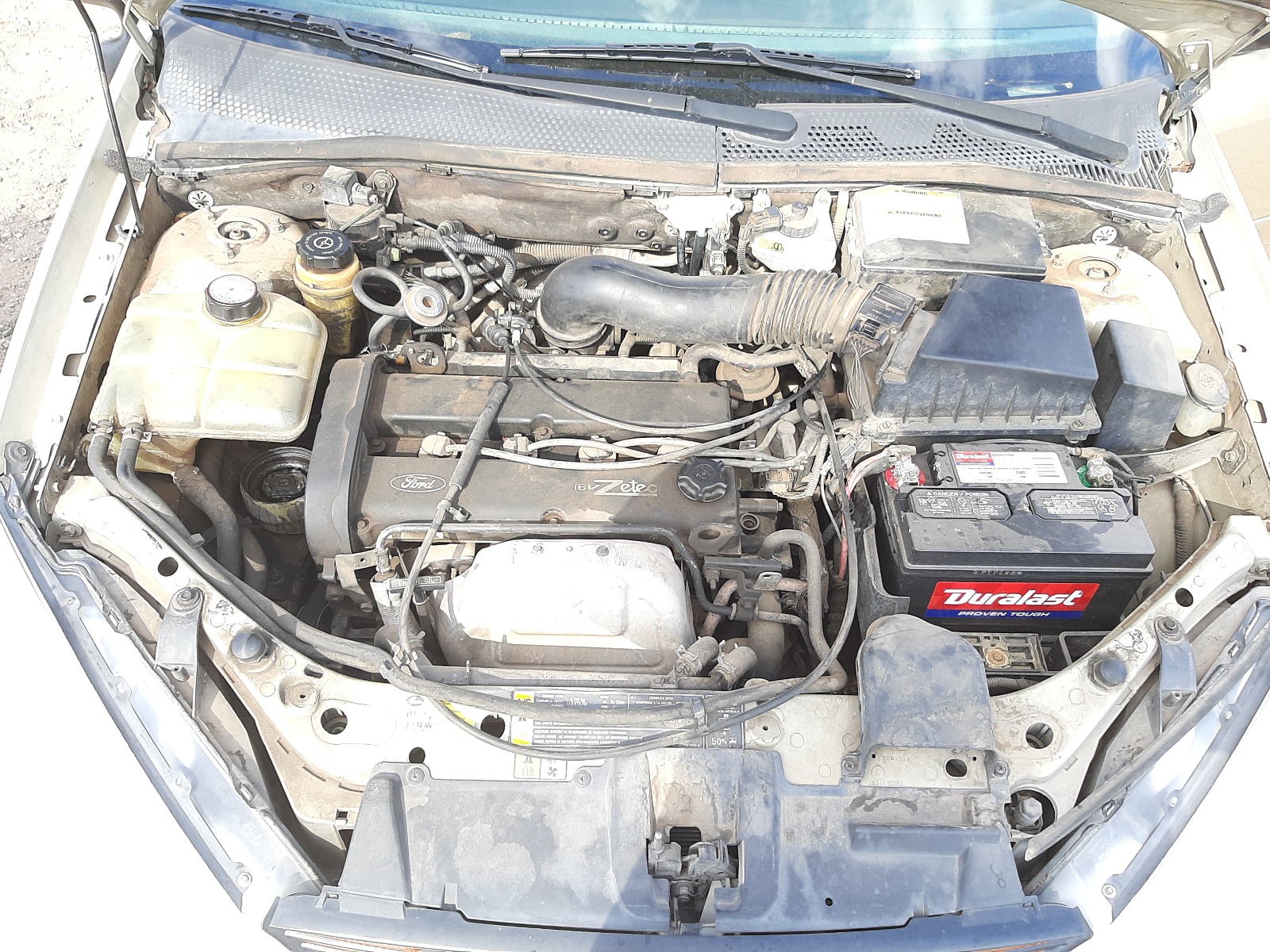 صورة رقم 7 من المزاد - 2000 FORD FOCUS SE مع VIN 1FAFP3431YW401275
