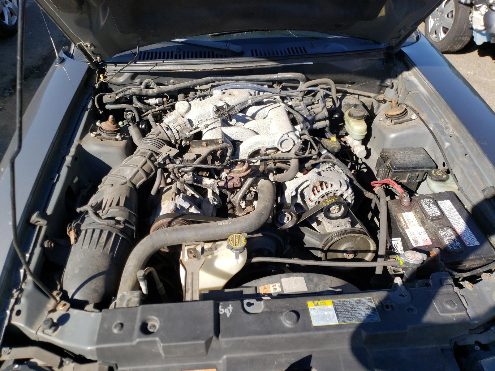 Photo 7 from auction – 2002 FORD MUSTANG with VIN 1FAFP40422F206619
