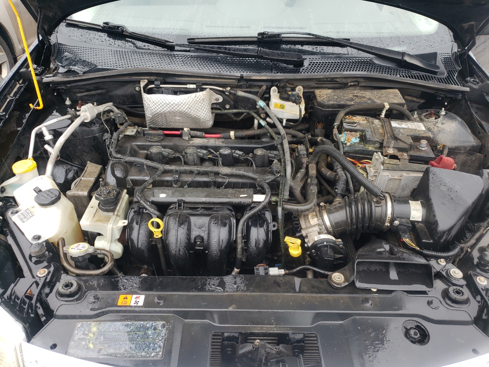 Photo 7 from auction – 2011 FORD FOCUS SEL with VIN 1FAHP3HN5BW142785