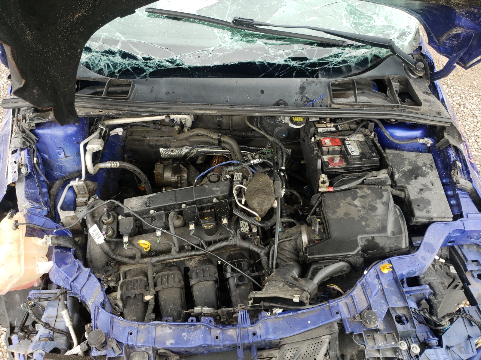 Photo 7 from auction – 2015 FORD FOCUS TITA with VIN 1FADP3J28FL368728