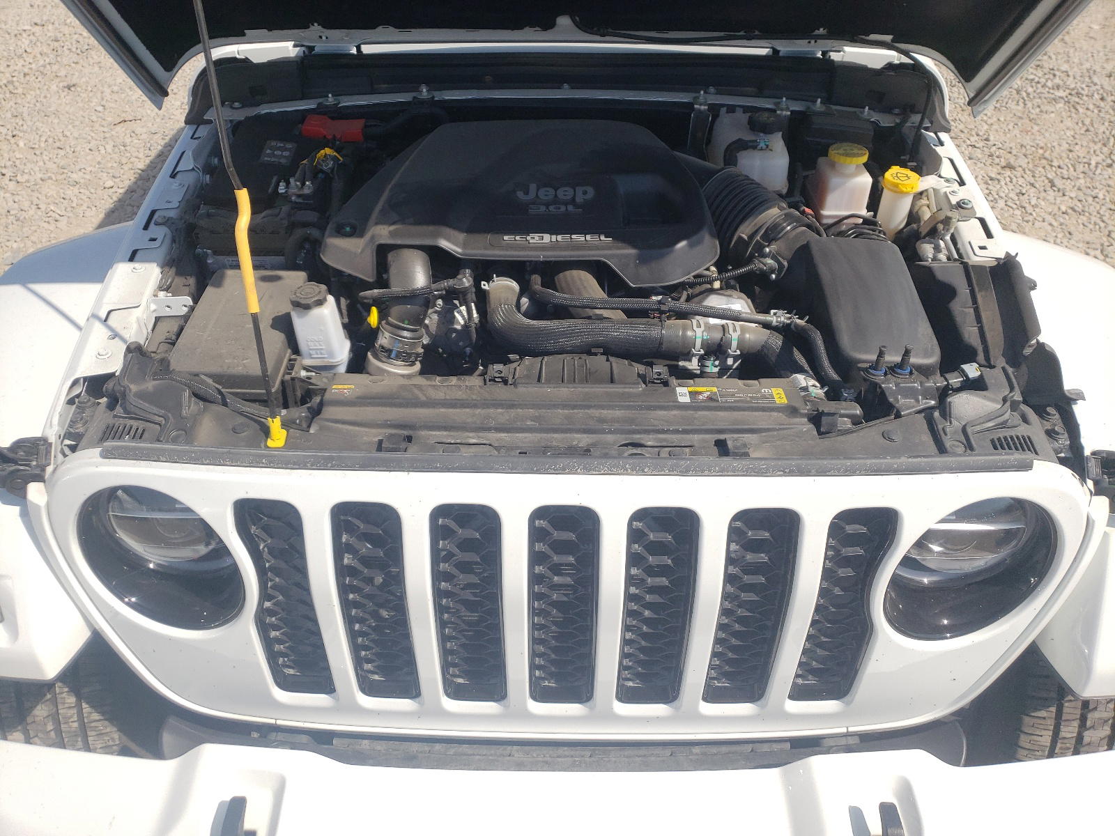 Photo 7 from auction – 2021 JEEP GLADIATOR with VIN 1C6JJTFM9ML559572