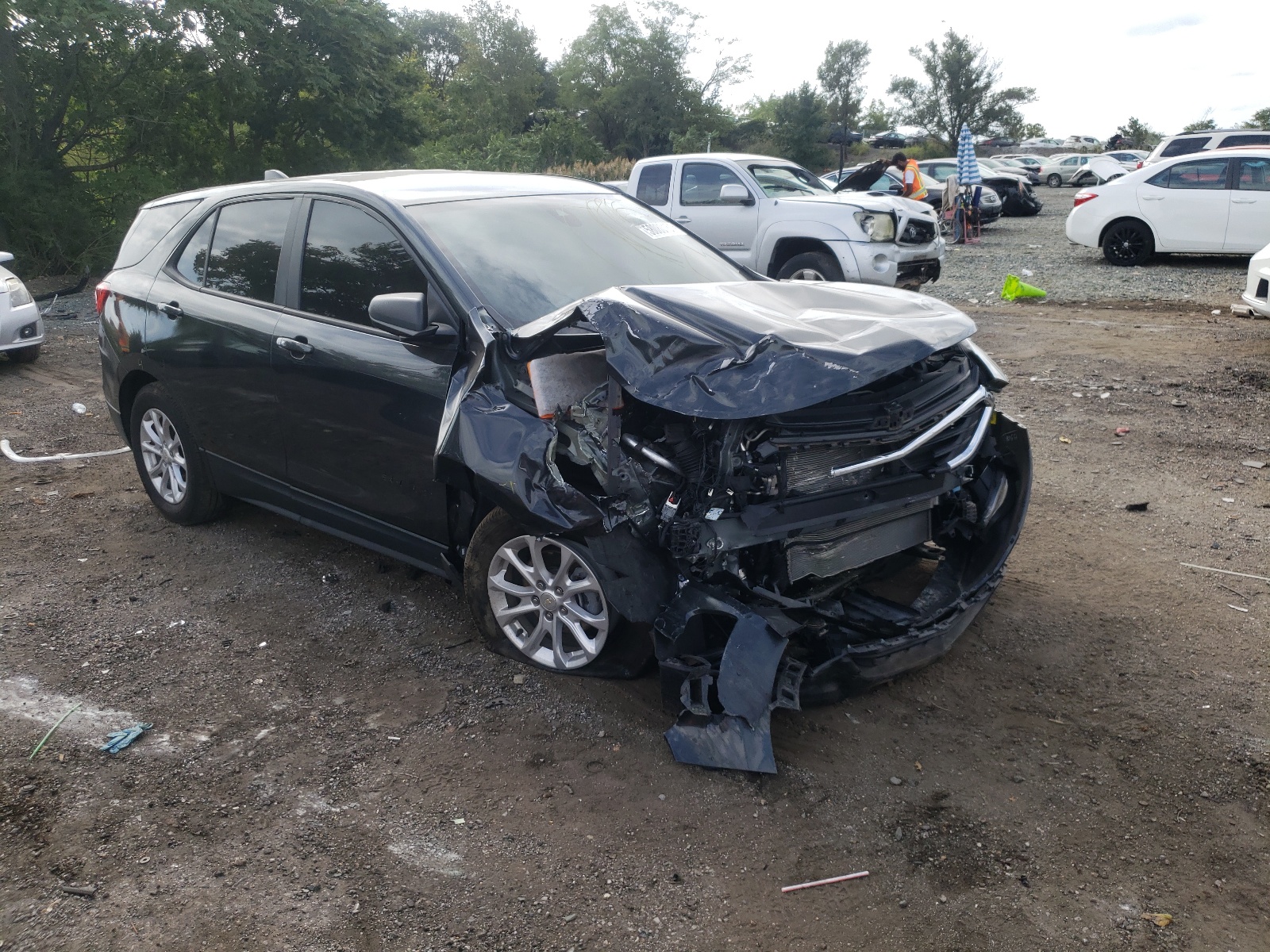 CHEVROLET EQUINOX LS 2020 with VIN 3GNAXHEV5LS516295 - Photo from auction