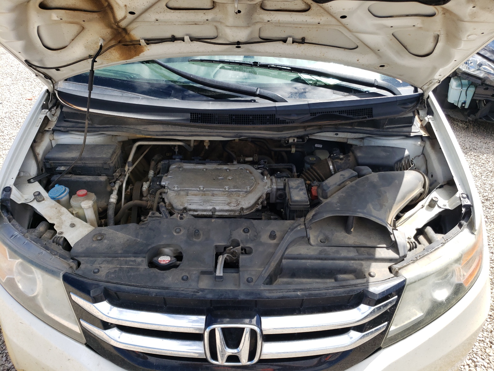 Photo 7 from auction – 2016 HONDA ODYSSEY SE with VIN 5FNRL5H33GB051921