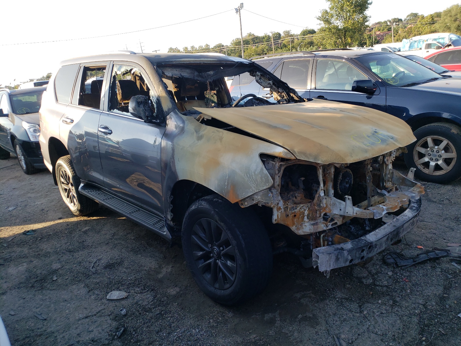 LEXUS GX 460 PRE 2021 with VIN JTJAM7BX5M5295260 - Photo from auction
