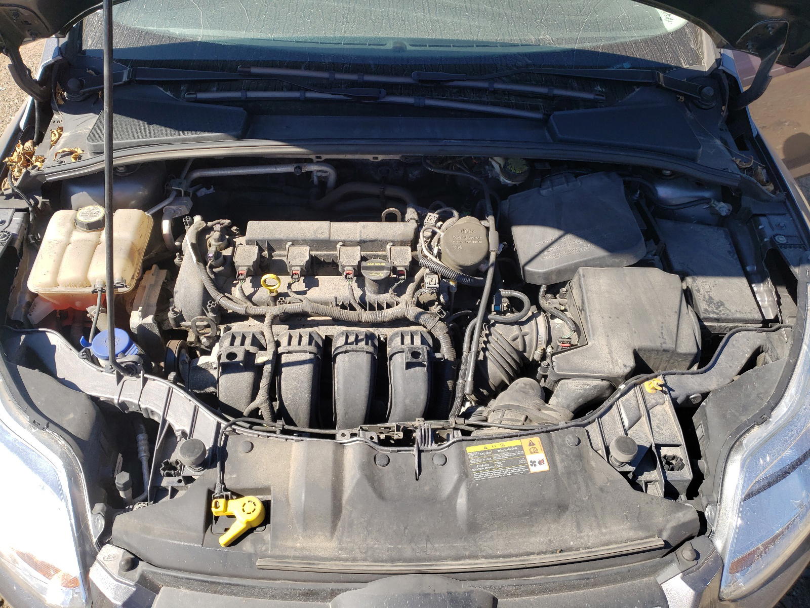 Photo 7 from auction – 2013 FORD FOCUS SE with VIN 1FADP3F29DL361471