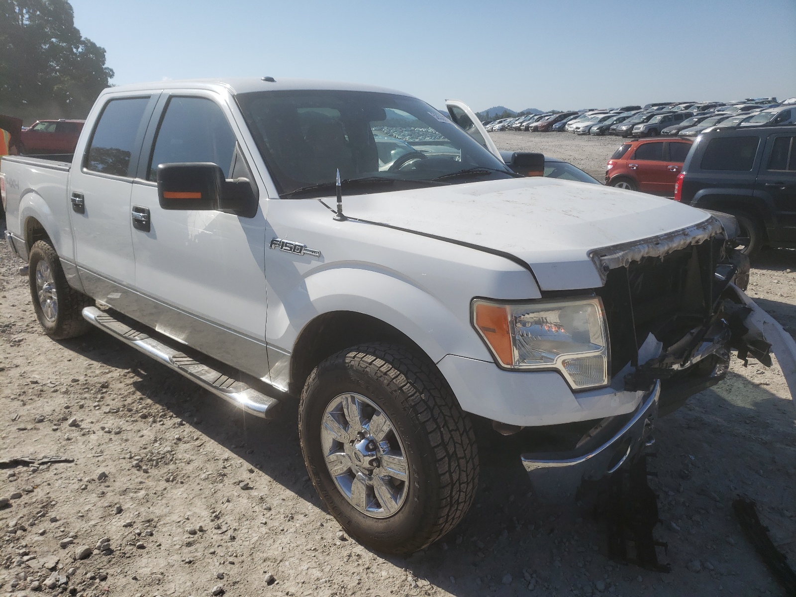 Photo 1 from auction – 2009 FORD F150 SUPER with VIN 1FTPW14V49FA52055