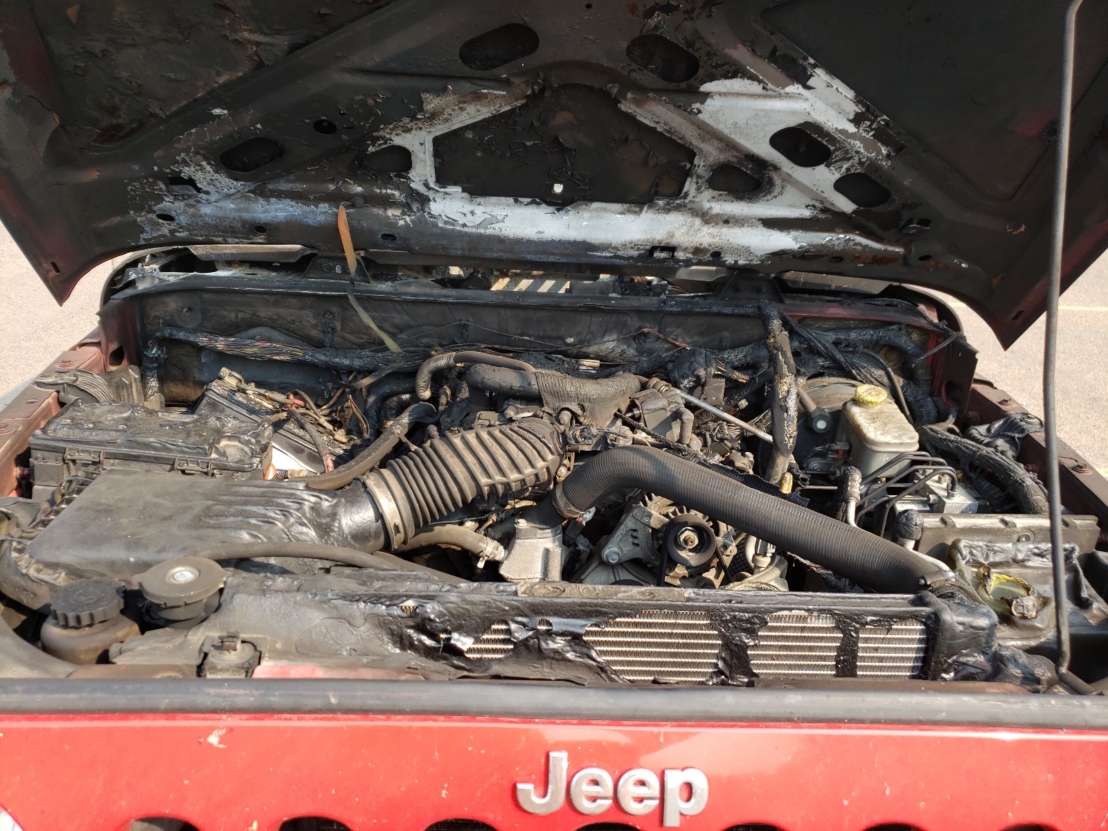 Photo 7 from auction – 2008 JEEP WRANGLER X with VIN 1J4FA24188L635123