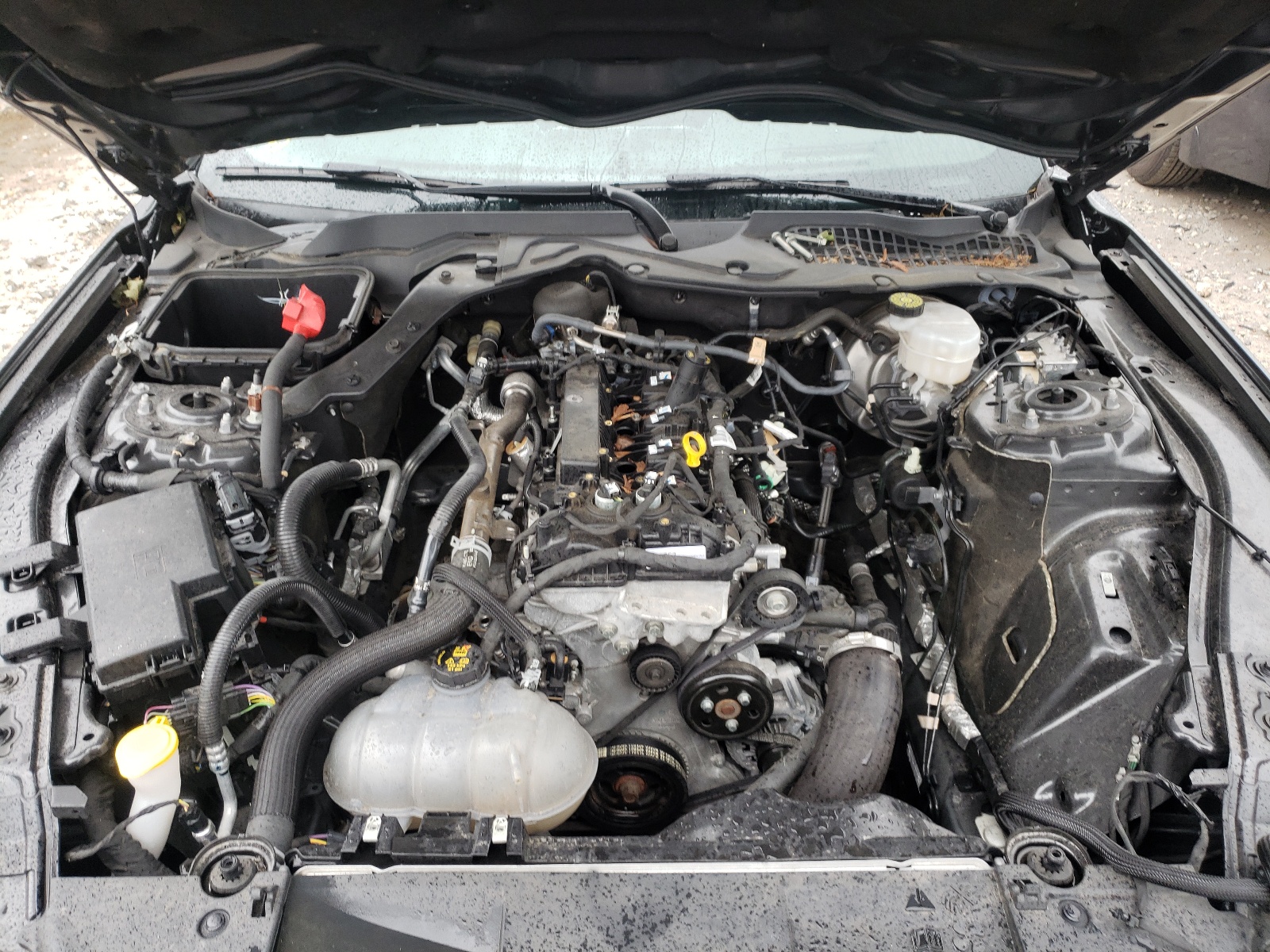Photo 7 from auction – 2019 FORD MUSTANG with VIN 1FA6P8TH8K5124020