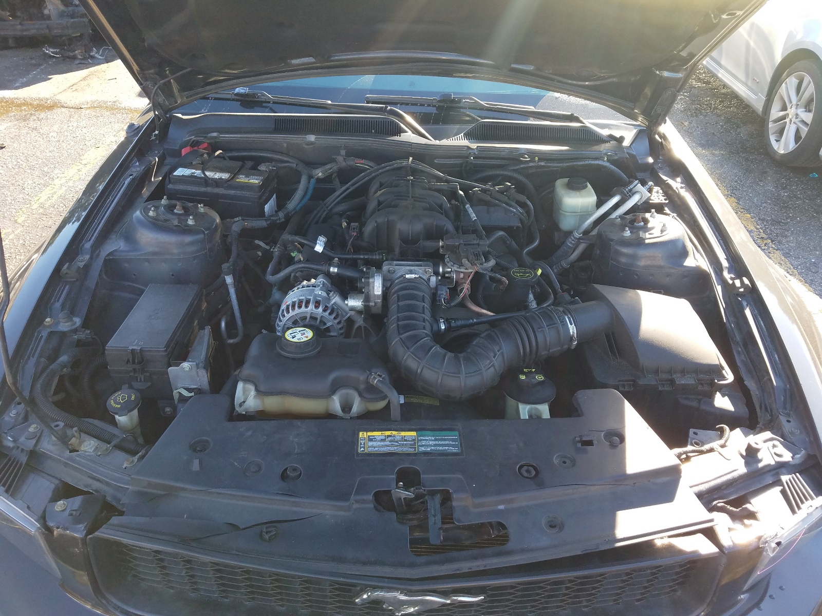 Photo 7 from auction – 2007 FORD MUSTANG with VIN 1ZVFT80N575266393