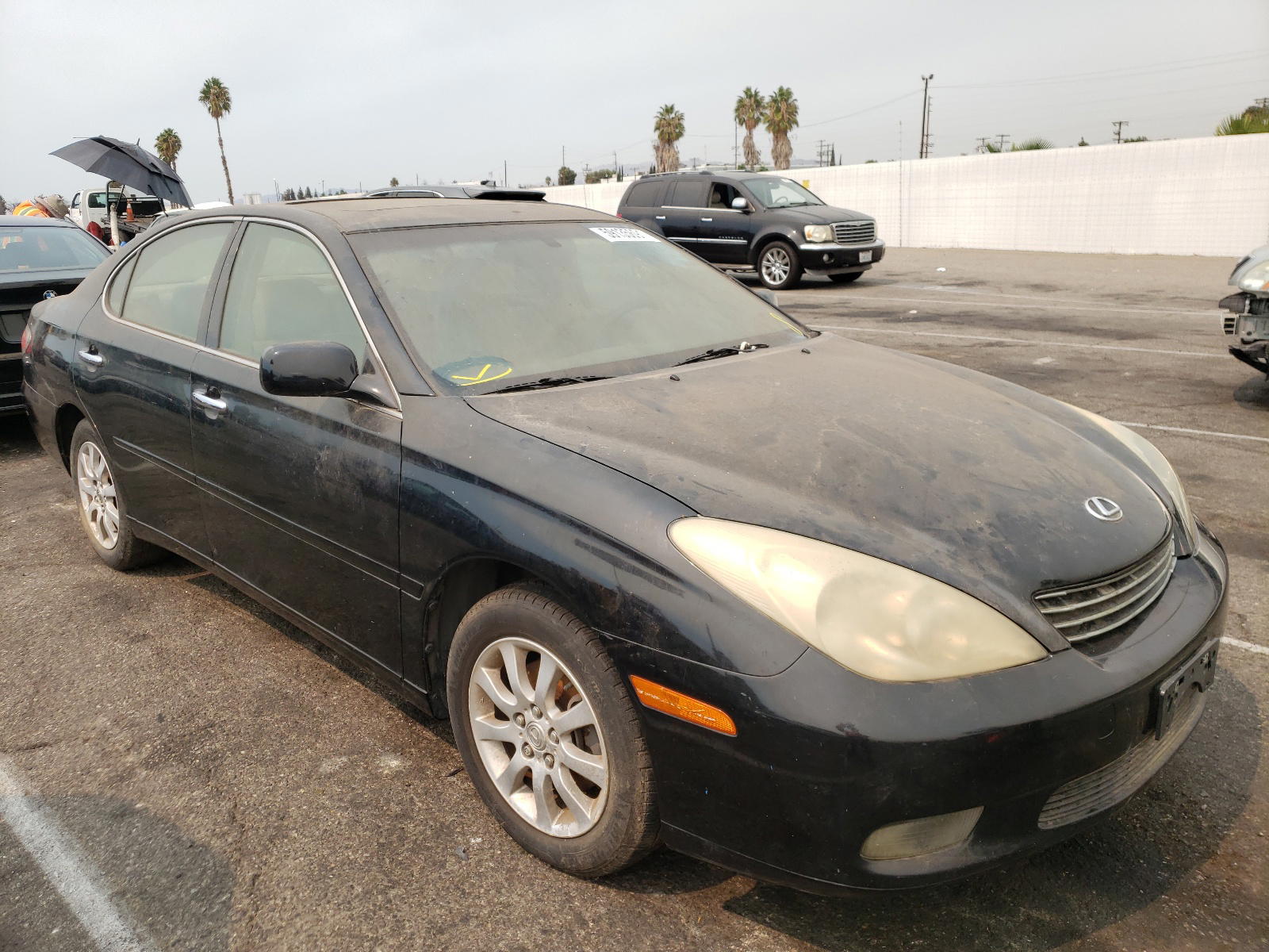 LEXUS ES 300 2003 with VIN JTHBF30G230111237 - Photo from auction