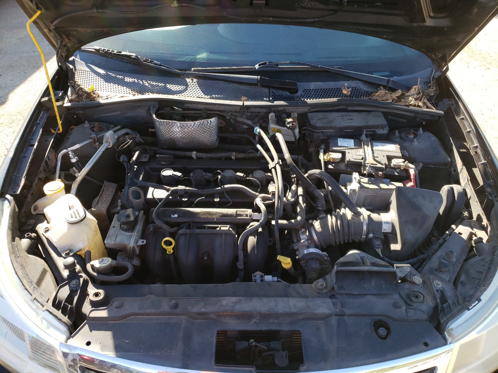 Photo 7 from auction – 2010 FORD FOCUS SE with VIN 1FAHP3FNXAW269422