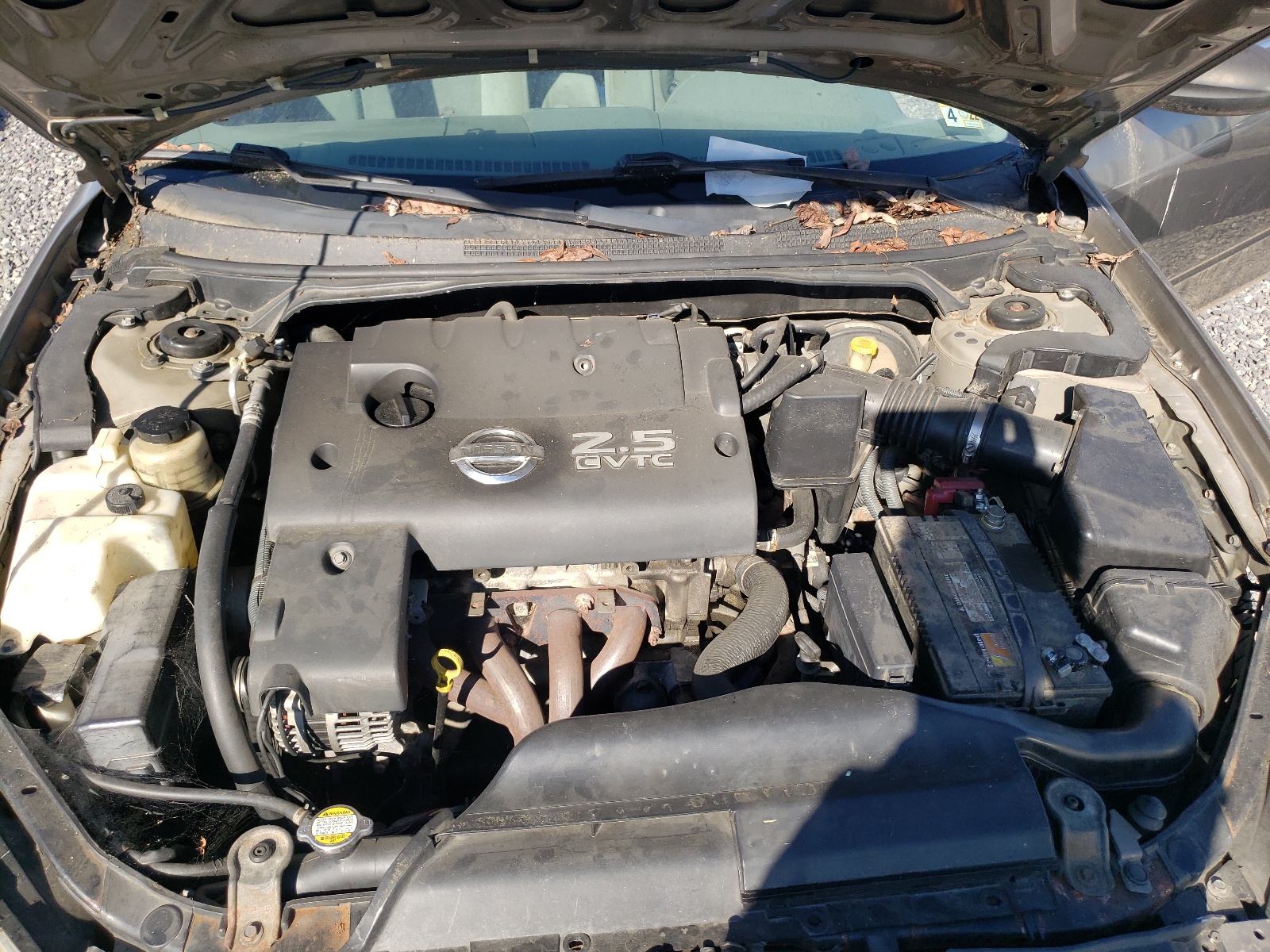 Photo 7 from auction – 2003 NISSAN ALTIMA BAS with VIN 1N4AL11E43C241113