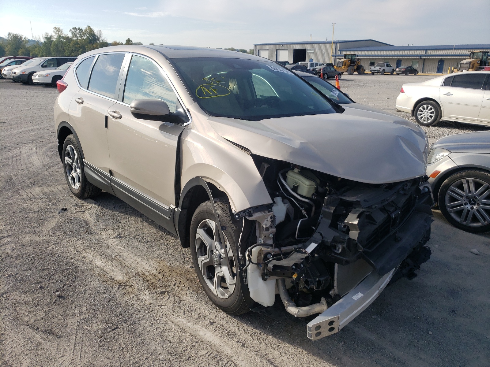 HONDA CR-V EX 2019 with VIN 2HKRW2H53KH640937 - Photo from auction