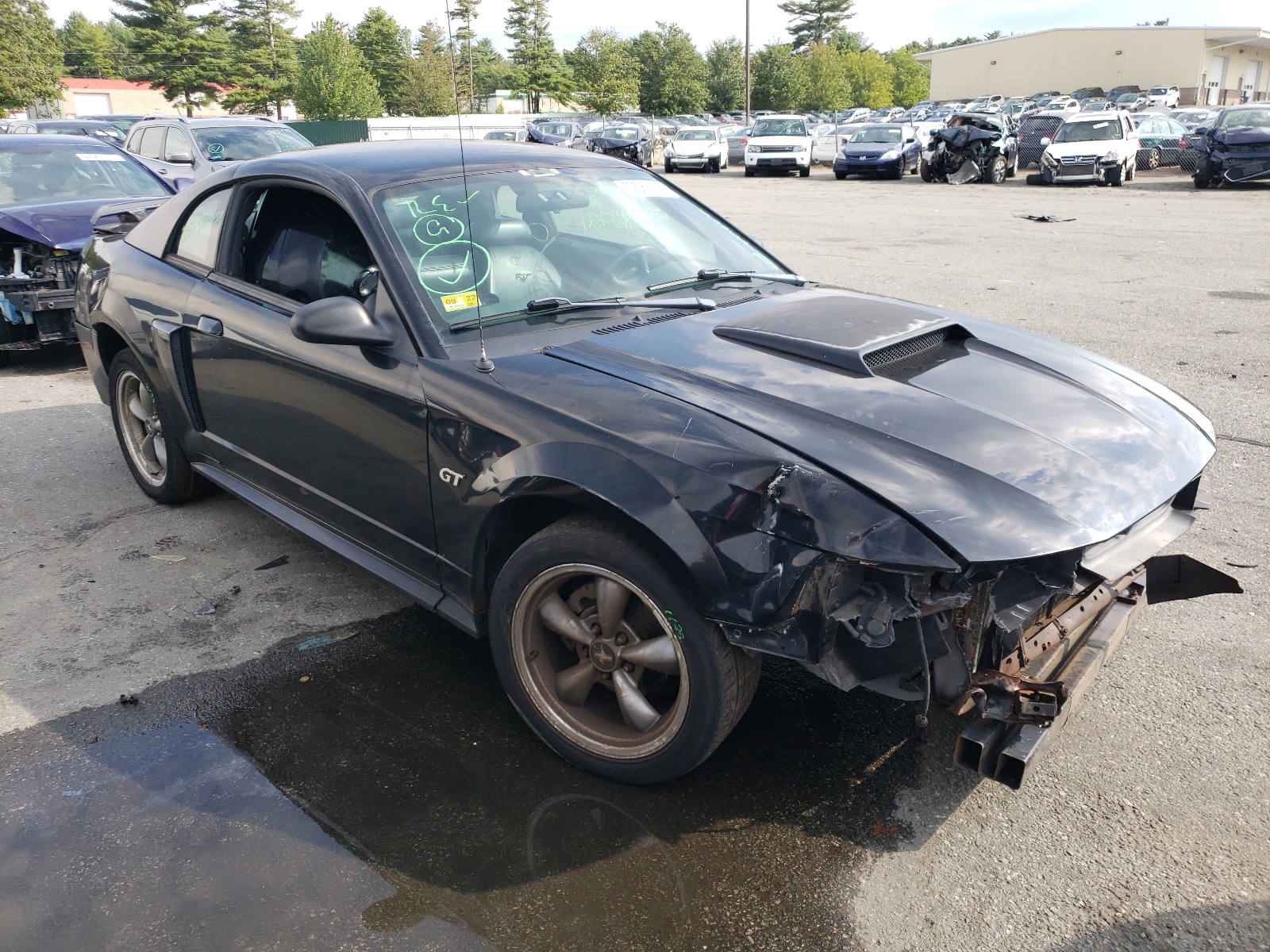 Photo 1 from auction – 2003 FORD MUSTANG GT with VIN 1FAFP42X33F347935
