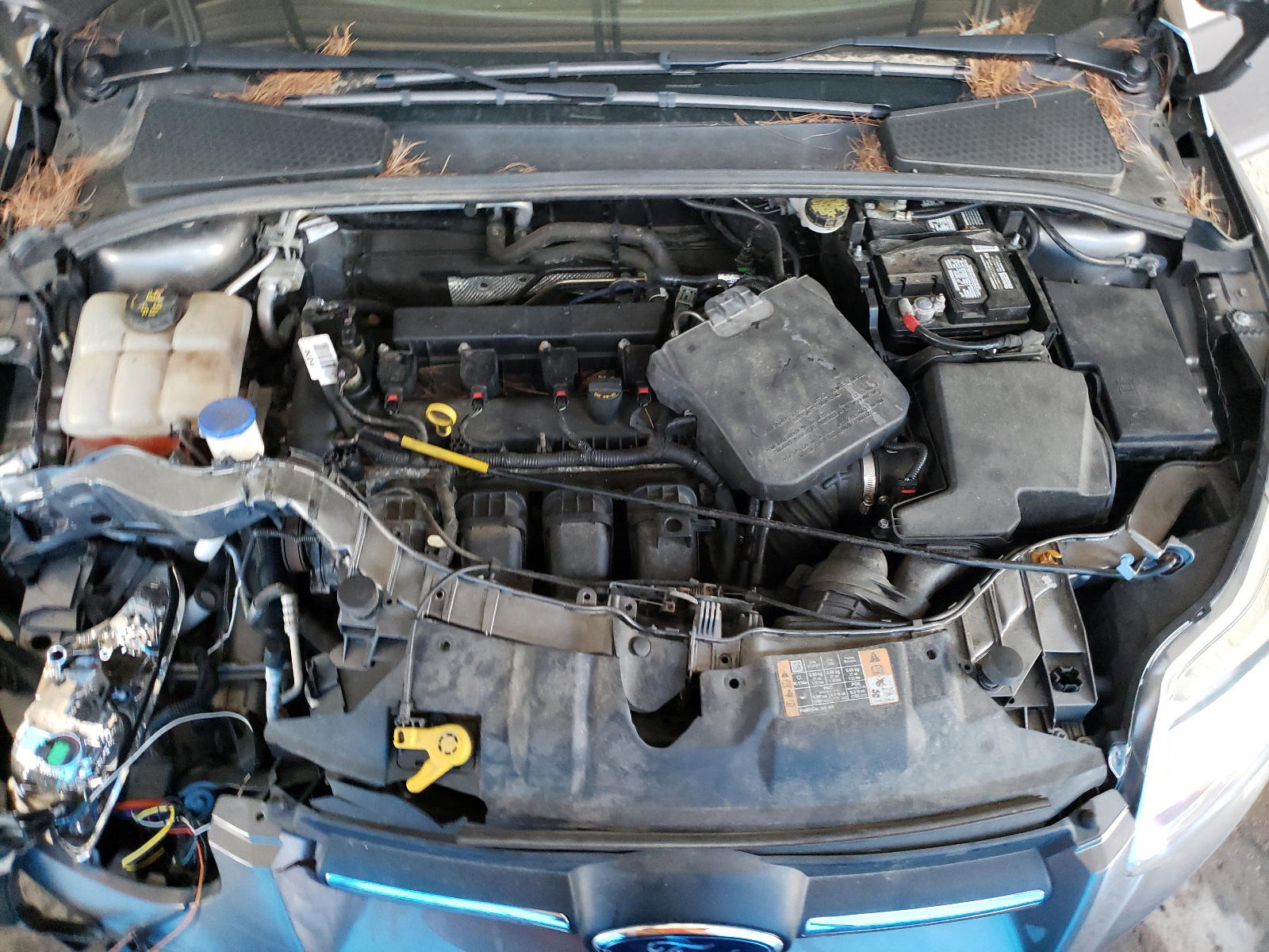 Photo 7 from auction – 2014 FORD FOCUS SE with VIN 1FADP3K29EL395286