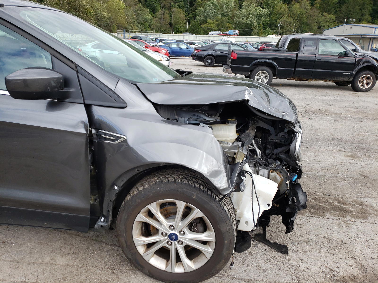 Photo 9 from auction – 2017 FORD ESCAPE SE with VIN 1FMCU0GD5HUE04020