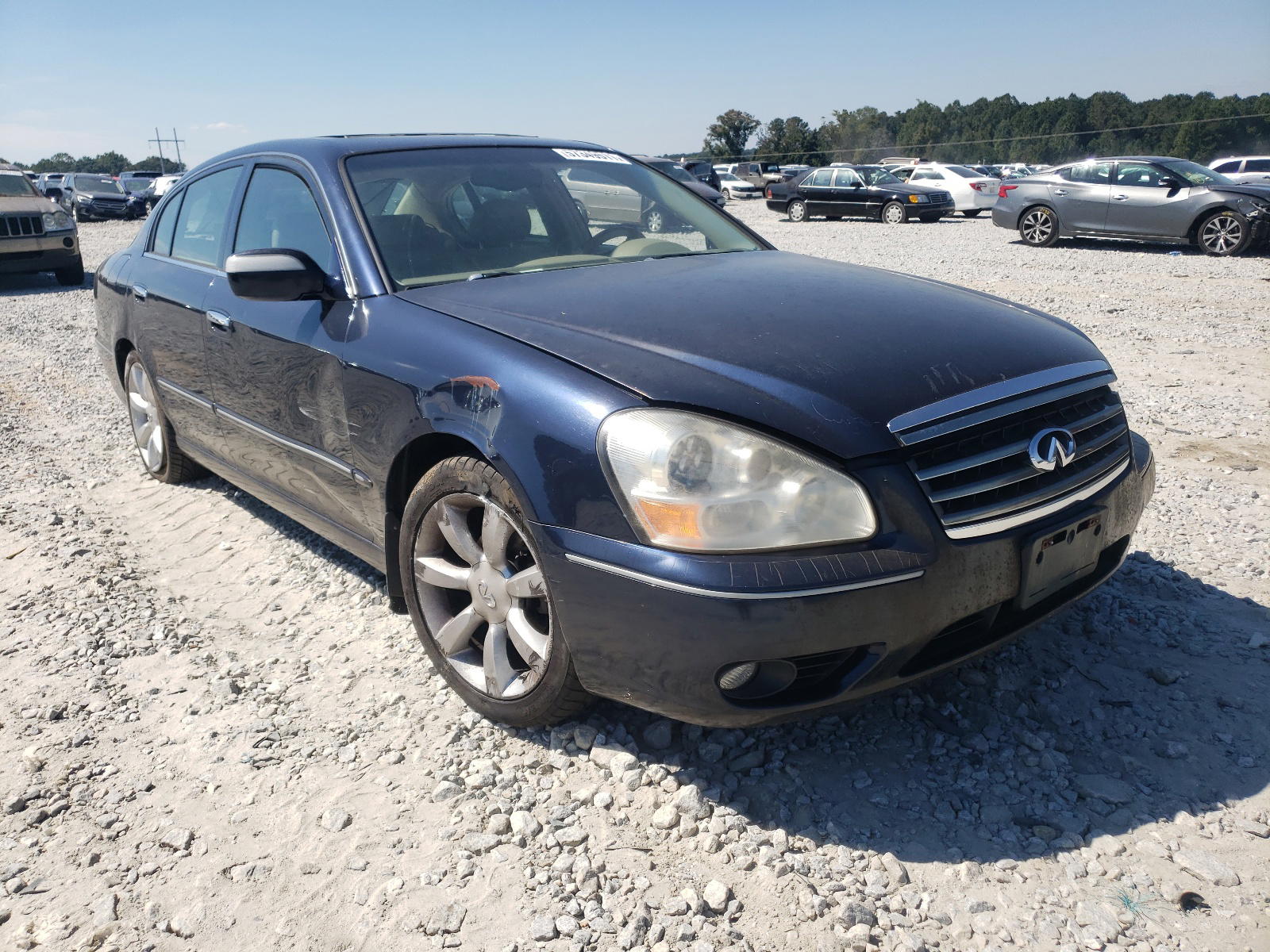 INFINITI Q45 2005 with VIN JNKBF01A85M101669 - Photo from auction