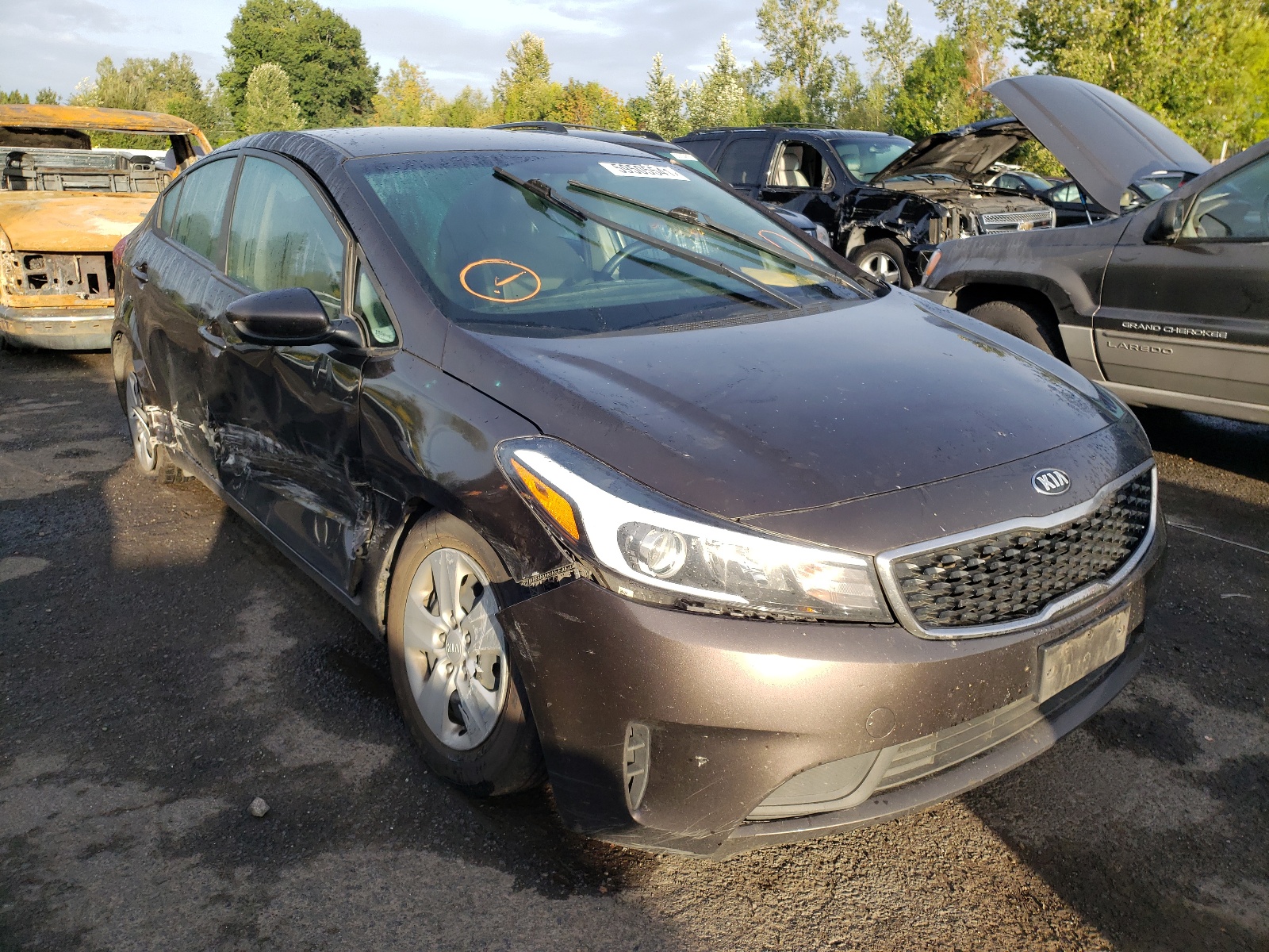 KIA FORTE LX 2017 with VIN 3KPFL4A79HE107054 - Photo from auction