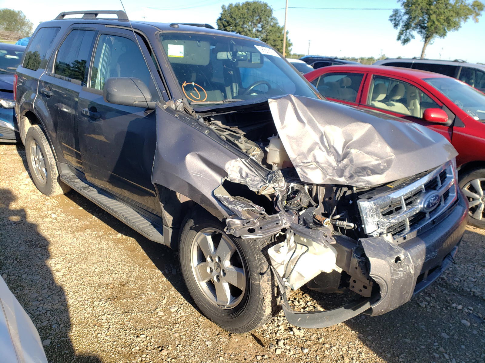 FORD ESCAPE XLT 2011 with VIN 1FMCU0D73BKB70218 - Photo from auction