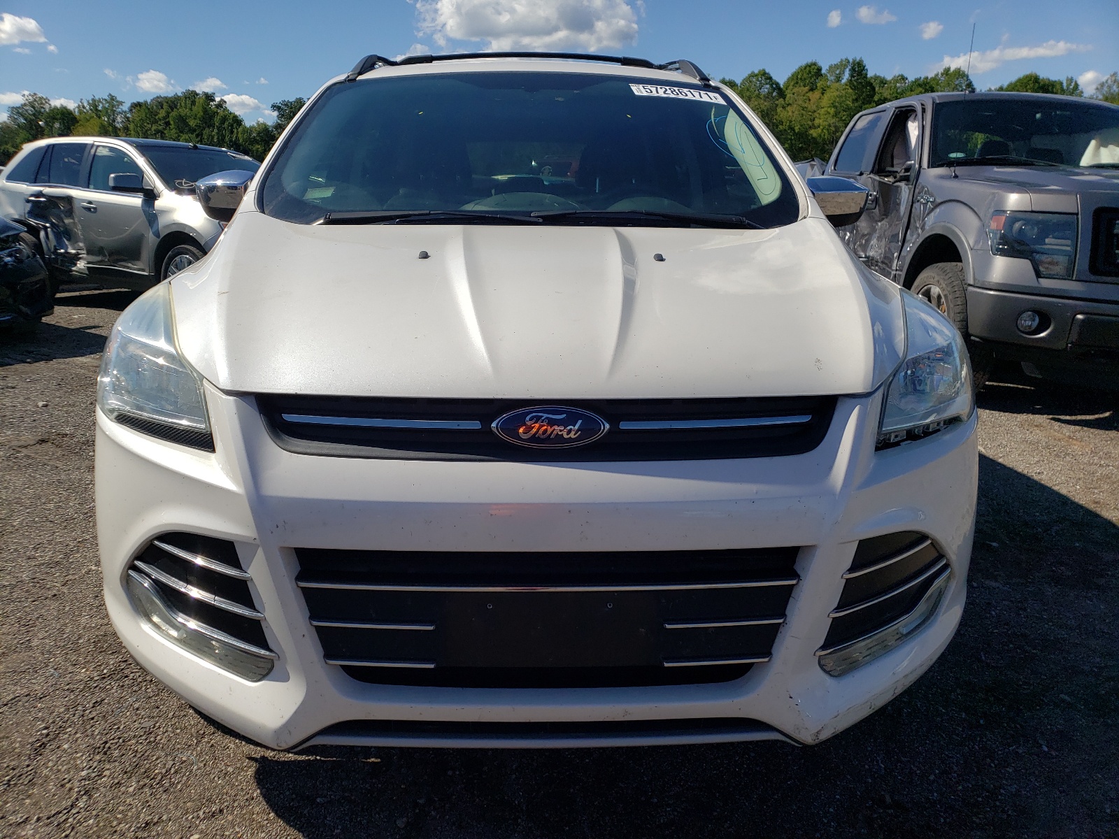 Фото 9 с аукциона – 2016 FORD ESCAPE с VIN 1FMCU0G75GUA94637