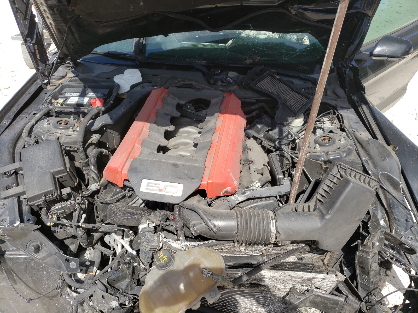 Photo 7 from auction – 2015 FORD MUSTANG GT with VIN 1FA6P8CF1F5357595