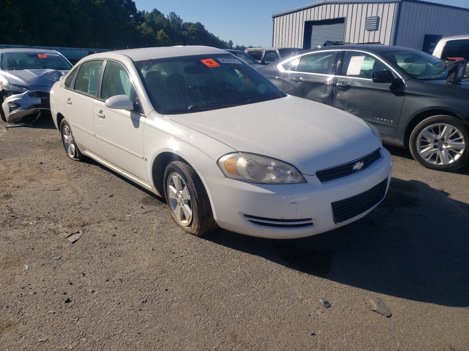 CHEVROLET IMPALA LT 2008 with VIN 2G1WT58K089240471 - Photo from auction