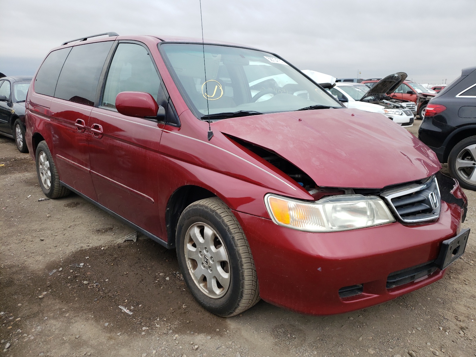 HONDA ODYSSEY EX 2004 with VIN 5FNRL18624B131838 - Photo from auction