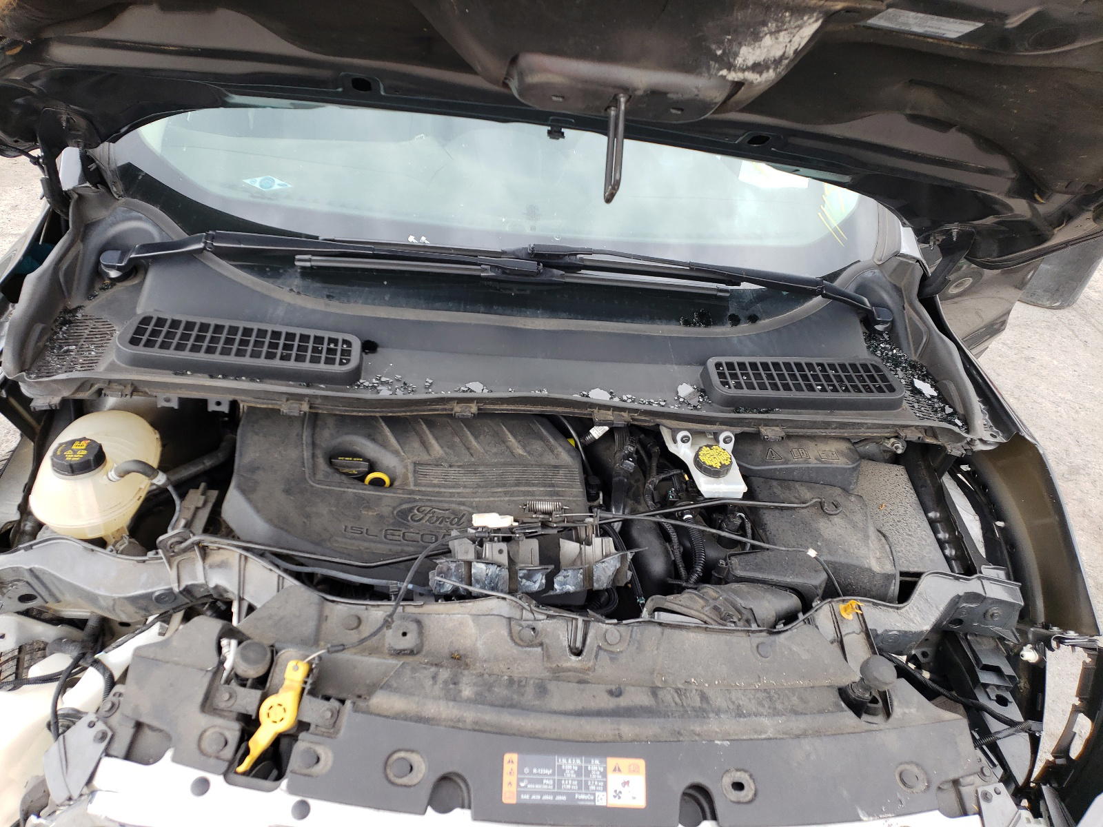 Photo 7 from auction – 2017 FORD ESCAPE SE with VIN 1FMCU0GD5HUE04020
