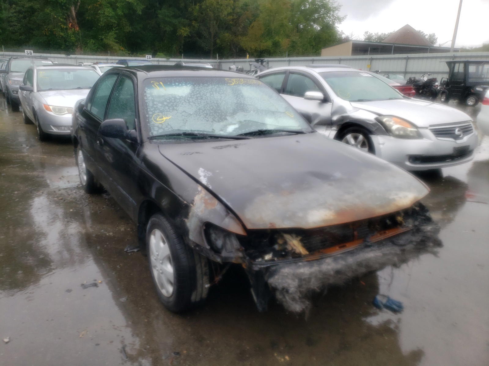 TOYOTA COROLLA LE 1995 with VIN 2T1AE09B6SC133347 - Photo from auction