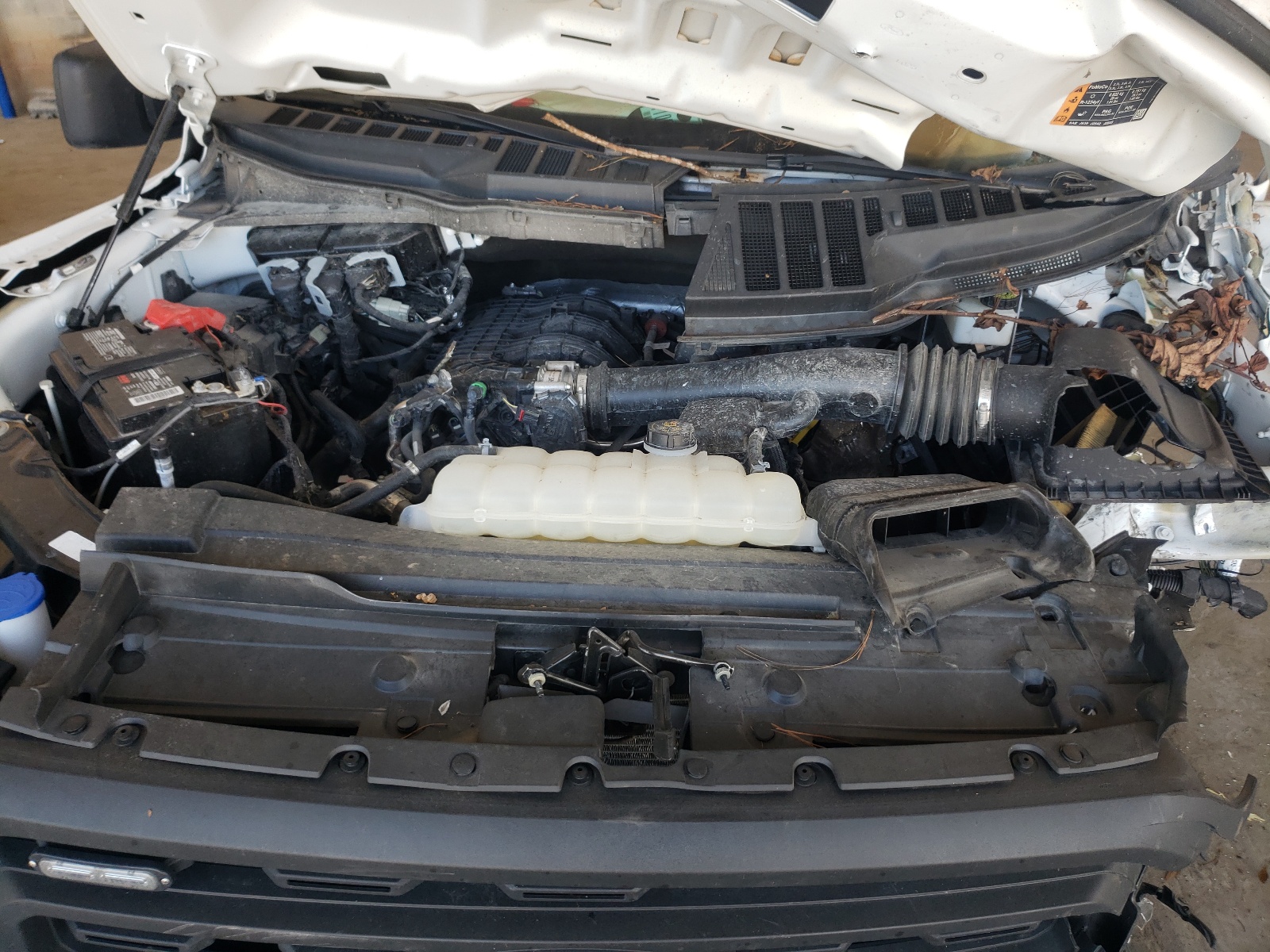 Photo 7 from auction – 2021 FORD F150 SUPER with VIN 1FTEX1CB5MKD85067