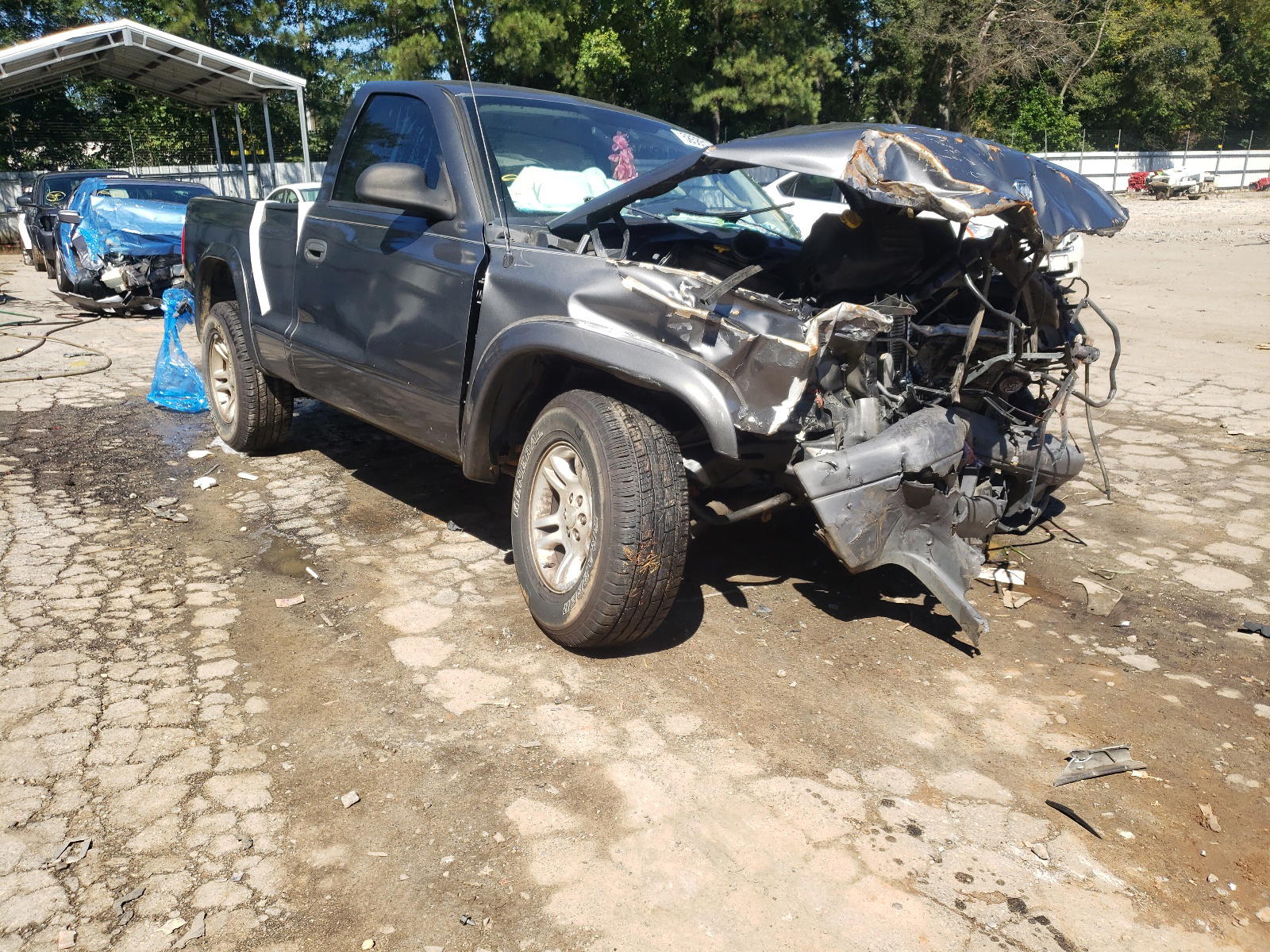 DODGE DAKOTA SXT 2003 with VIN 1D7FL16X03S362176 - Photo from auction