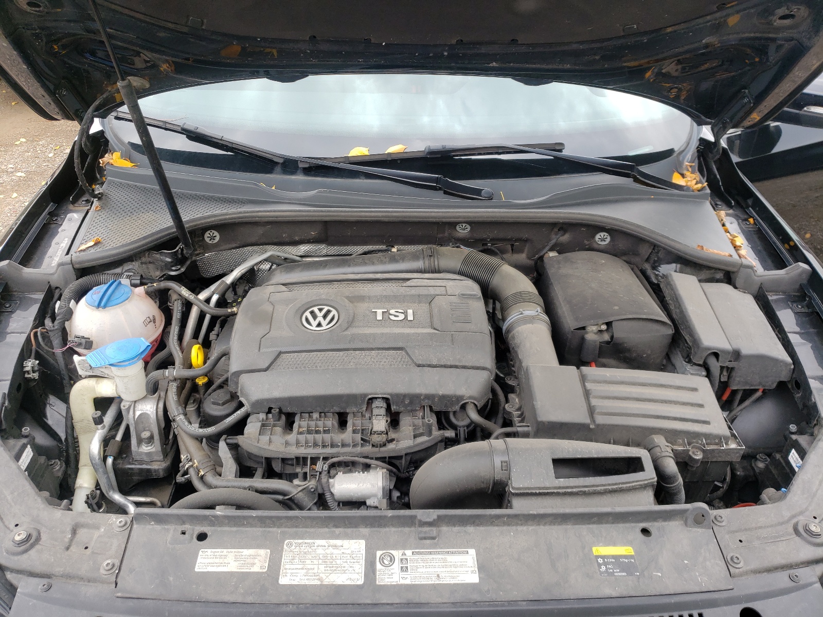 Photo 7 from auction – 2014 VOLKSWAGEN PASSAT SE with VIN 1VWBT7A3XEC117587