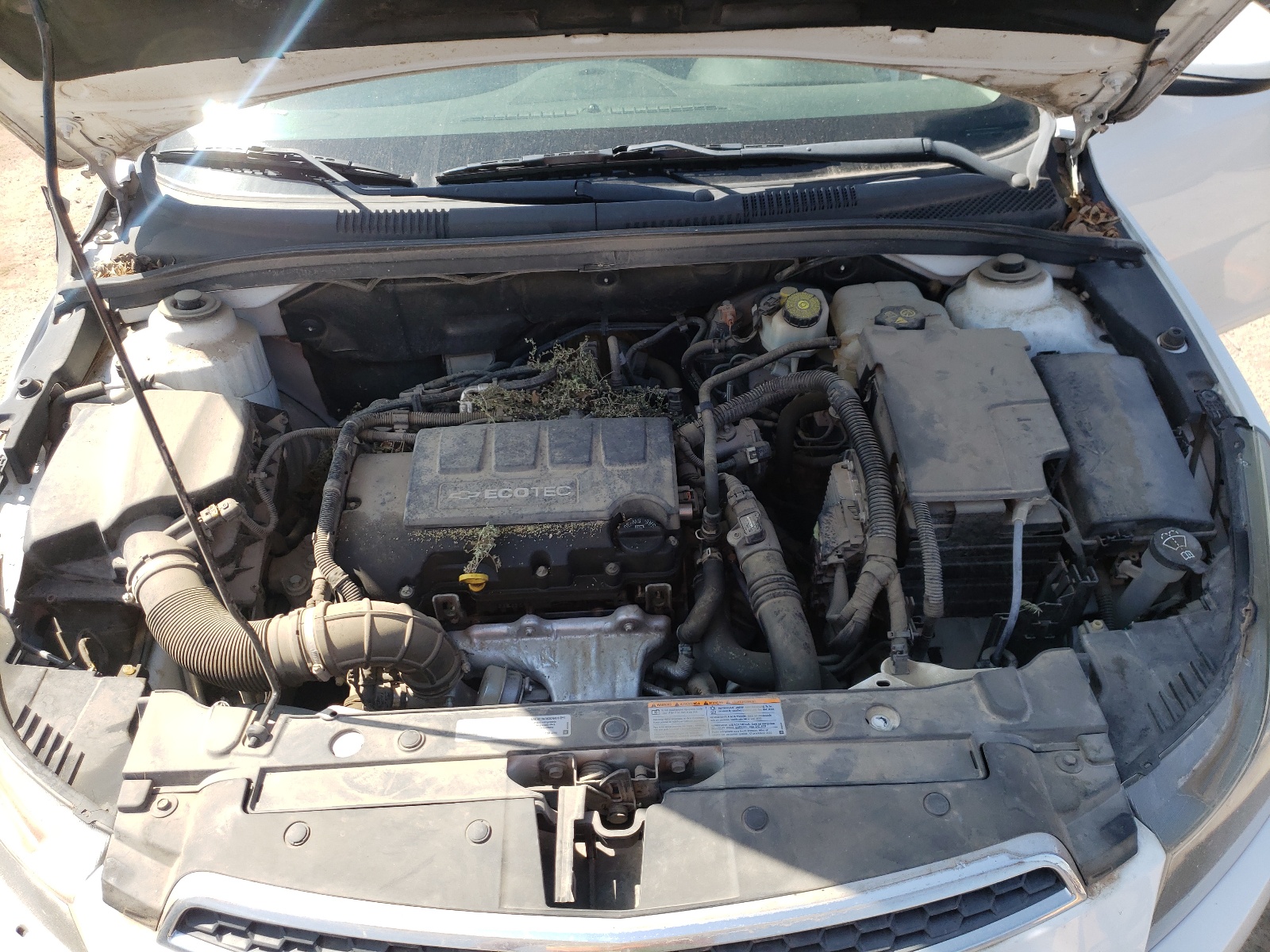 Photo 7 from auction – 2011 CHEVROLET CRUZE LT with VIN 1G1PF5S91B7244555