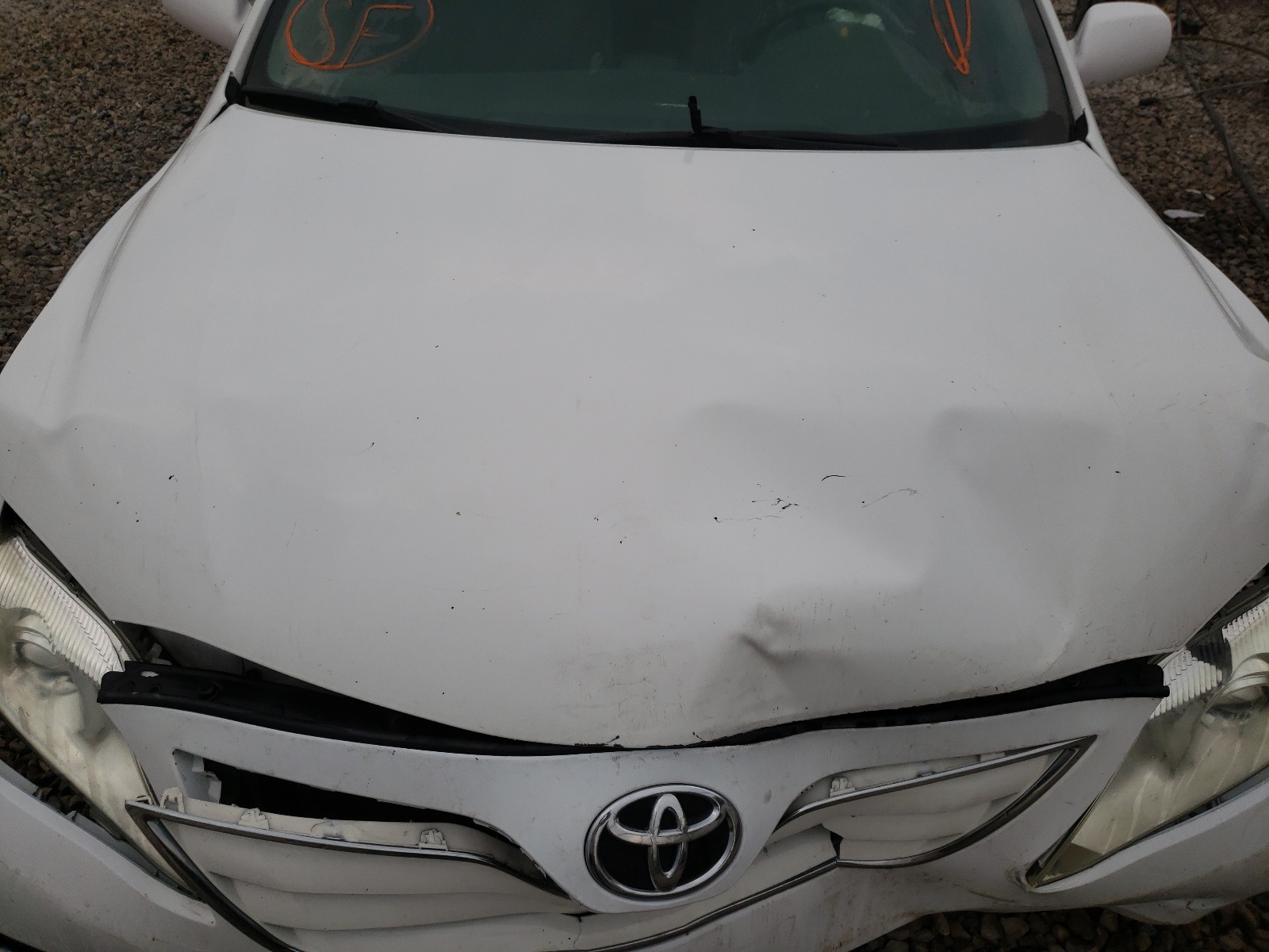 Photo 7 from auction – 2010 TOYOTA CAMRY BASE with VIN 4T1BF3EKXAU504337
