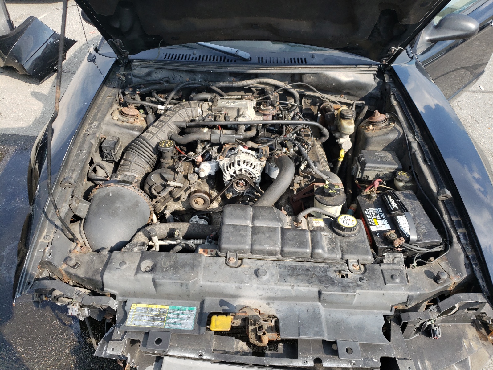 Photo 7 from auction – 2003 FORD MUSTANG GT with VIN 1FAFP42X33F347935