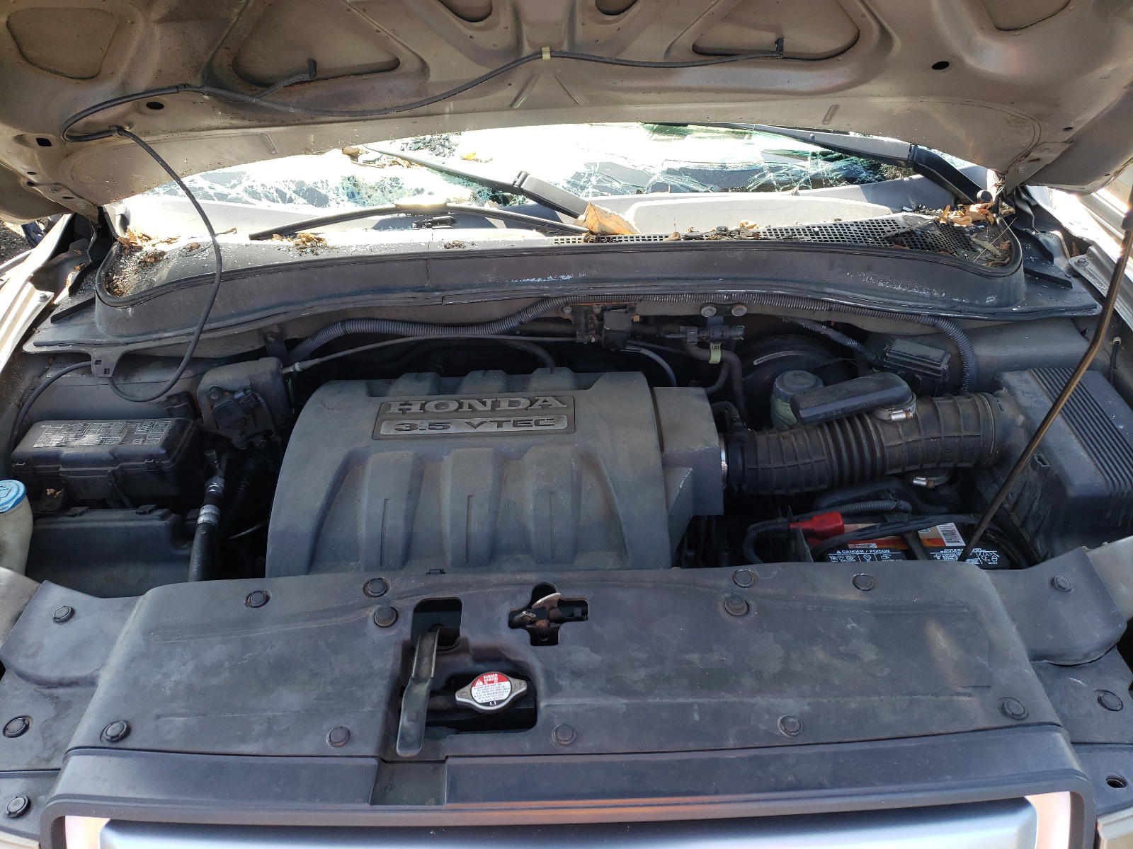 Photo 7 from auction – 2008 HONDA PILOT EXL with VIN 5FNYF18558B010835