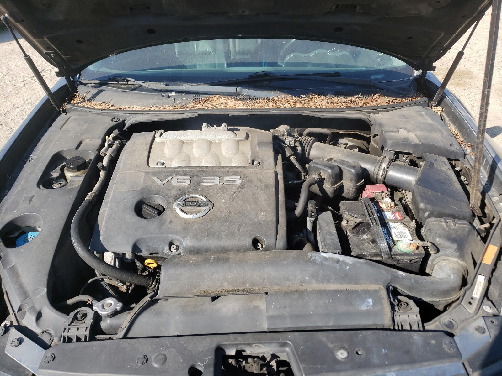 Photo 7 from auction – 2006 NISSAN MAXIMA with VIN 1N4BA41E36C800764