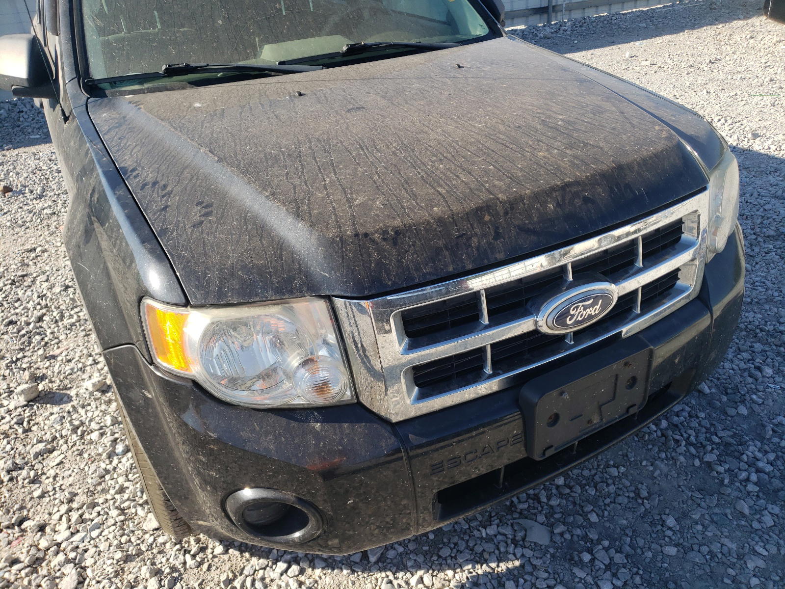 Photo 9 from auction – 2011 FORD ESCAPE XLS with VIN 1FMCU0C74BKA05506