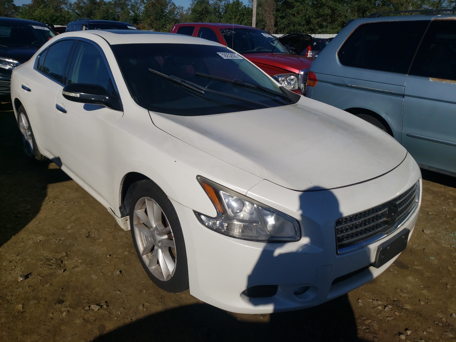 Photo 1 from auction – 2010 NISSAN MAXIMA S with VIN 1N4AA5APXAC833143