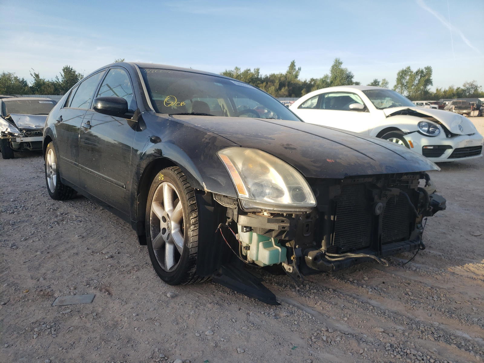 NISSAN MAXIMA SE 2004 with VIN 1N4BA41E14C886802 - Photo from auction